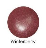 Lauren Brooke Cosmetiques Botanical Lip Gloss (Winterberry)