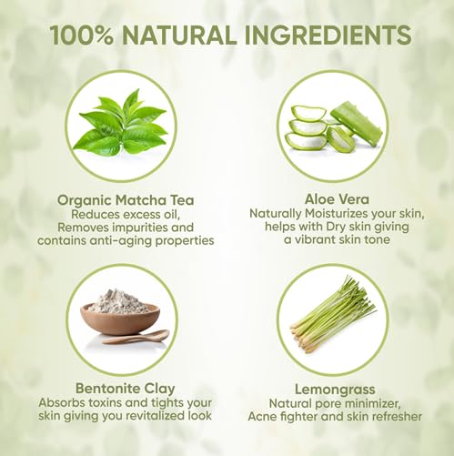 Teami Detox Face Mask for Hydraiting, Moisturizing & Purifying, Blackhead Remover Green Tea Deep Cleanse Mask reduces Acne & oil, Pore Minimizer Clay Mask for All Skin Types, Stick Mask Alternative