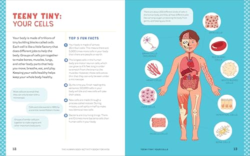 Human Body Activity Book for Kids: Hands-On Fun for Grades K-3