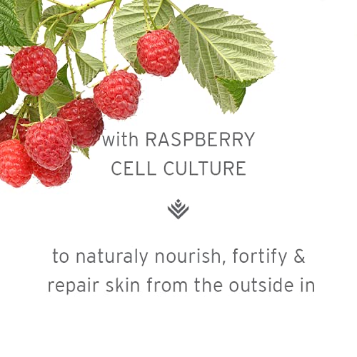 Kerstin Florian Clarifying BerryPlus Repair Serum | Anti-Aging Protective Facial Serum for All Skin Types | 1 fl oz