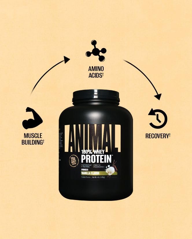 Animal 100% Whey Protein Powder – Whey Blend for Pre Workout or Post Workout, Recovery, or an Anytime Low Sugar Protein Boost Meal Replacement with BCAA Branched Chain Amino Acids – Vanilla, 4 lb