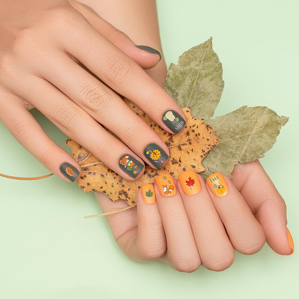 Whaline 10 Sheet Fall Nail Art Stamping Plates Kit Happy Thanksgiving Pumpkins Maple Leaf Gnome Plaid Autumn Blessings Collection Nail Art Plate for Autumn Thanksgiving Nail Art Design DIY Print