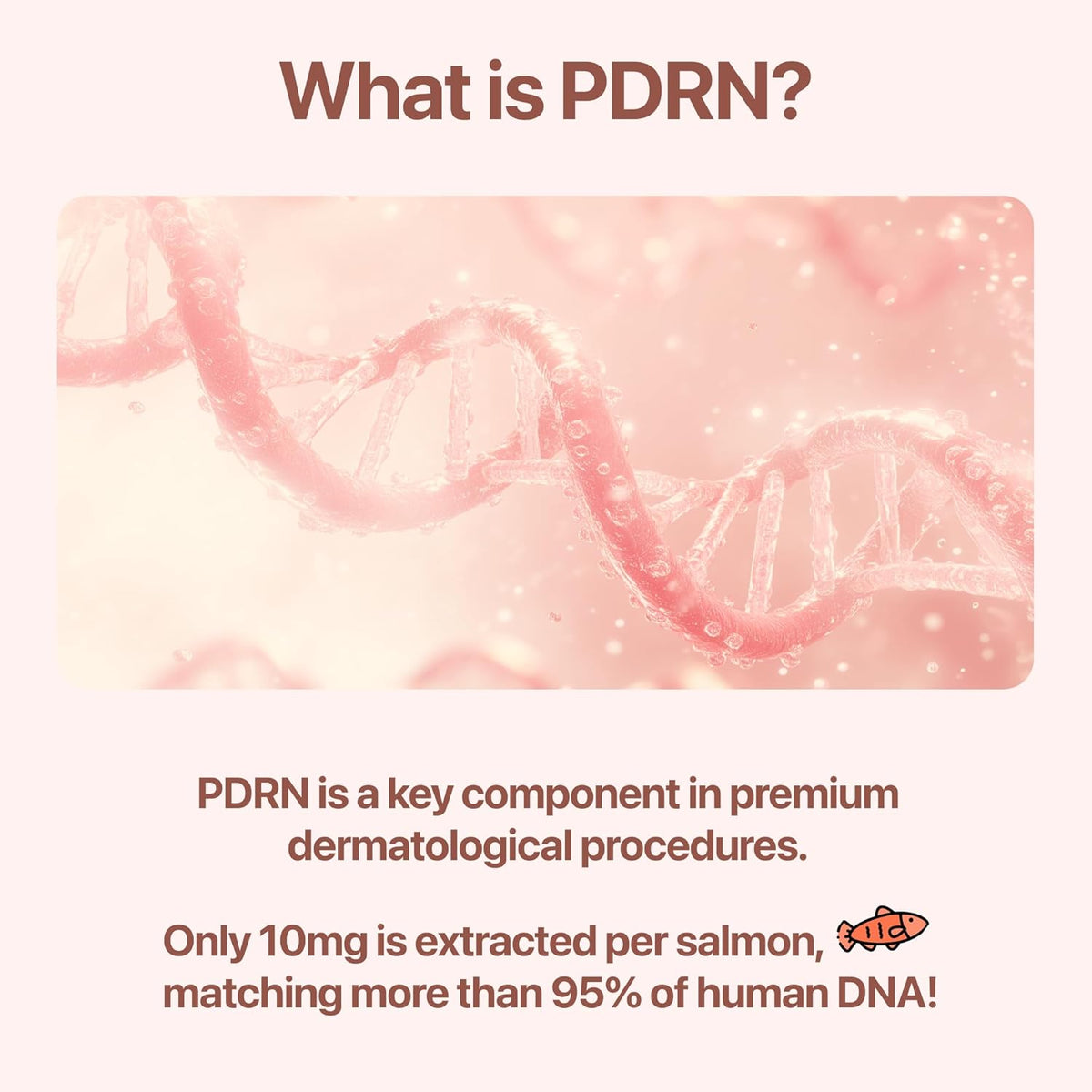 PDRN Cream with Salmon DNA, Ceramide NP, Collagen, Plant Based Bakuchiol, Moisturizing Bifida and Hyaluronic, CUSKIN, Korean Skin Care PDRN Cream, 50 ml (1.69 fl. oz.)