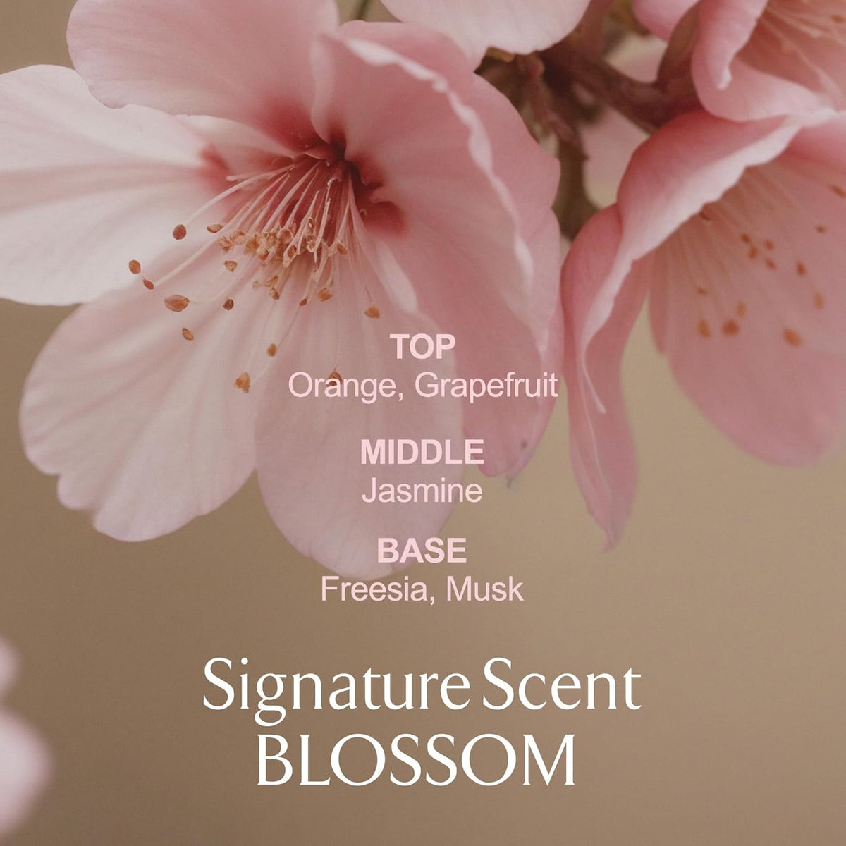 LA MUSE Perfume Body Lotion for Women(Spring Floral) | Body Cream for Women, Dry Skin with Shea Butter, Peptide | Softens & Comforts Sensitive Skin with Silky Smooth Finish, Non-Sticky | 10.14 fl oz