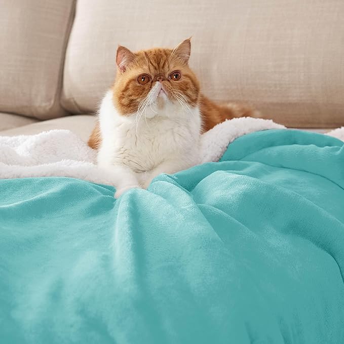 Bedsure Sherpa Fleece Throw Blanket for Couch - Thick and Warm, Soft Fuzzy Plush Throw Blanket for Winter, Light Teal, 50x60 Inches