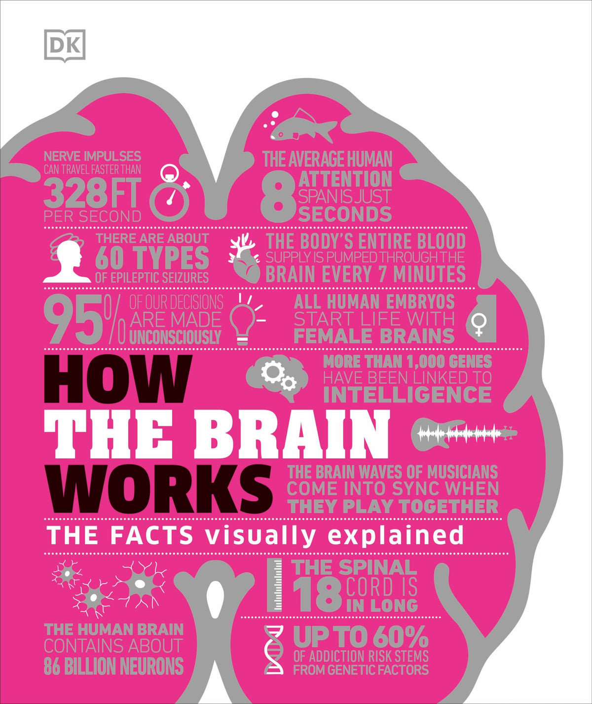 How the Brain Works: The Facts Visually Explained (DK How Stuff Works)